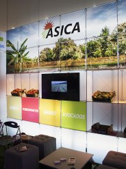 Stand ASICA NATURAL S.A.C.
